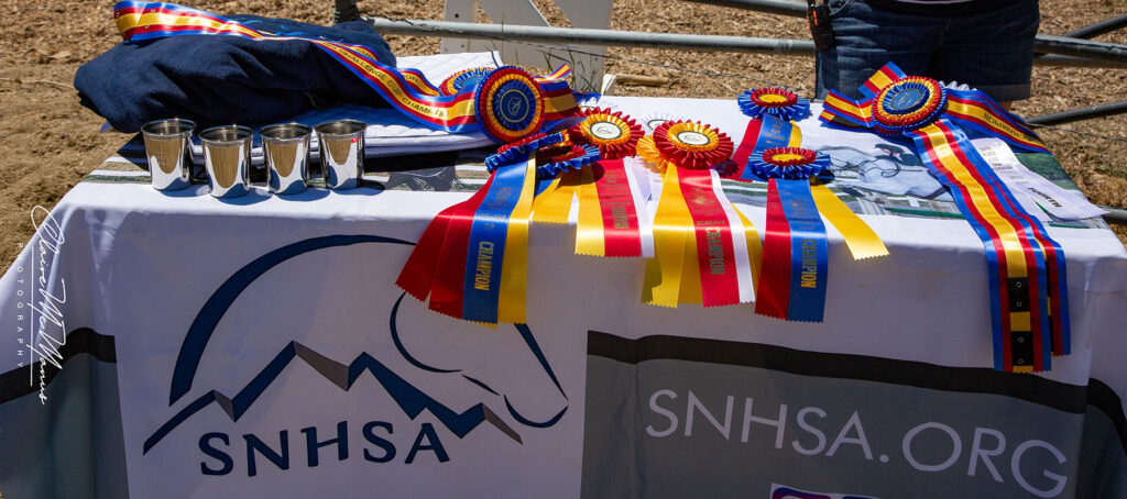 Challenge Cup ribbons
