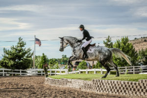 image of horse jumping
