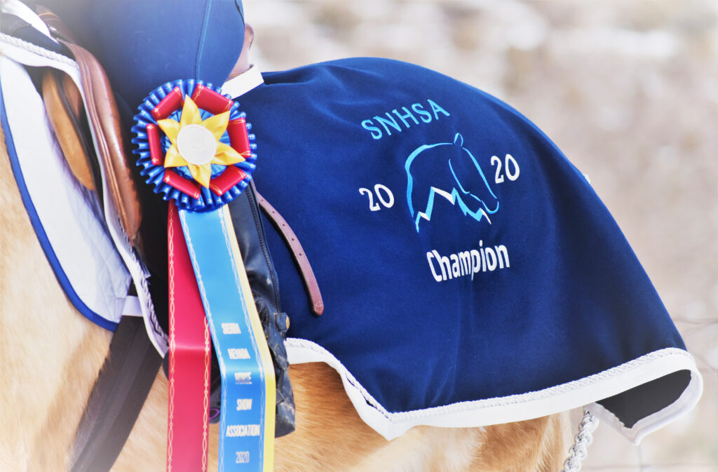 image of horse with year-end award