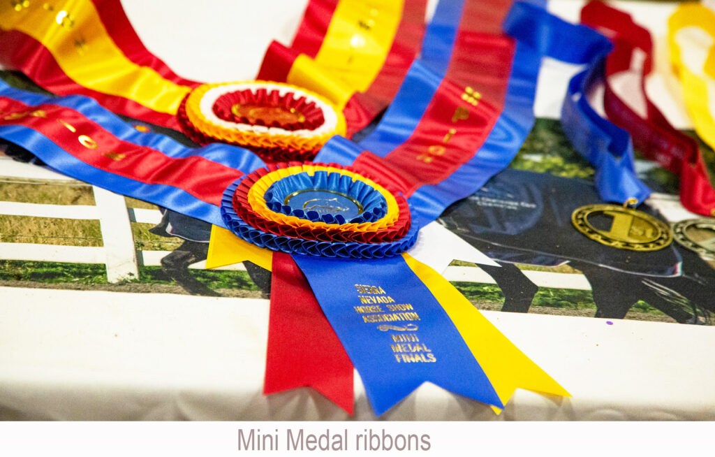 Mini Medal ribbons