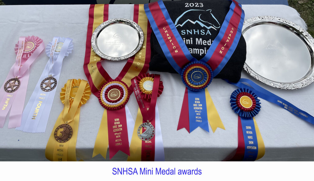 Mini Medal awards