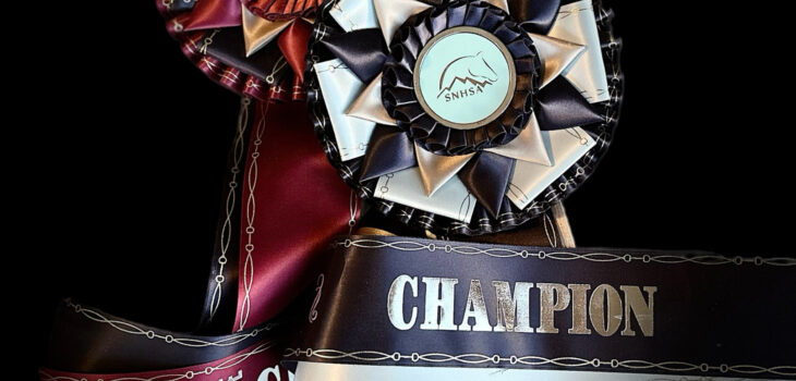 Champion and Reserve Champion ribbon